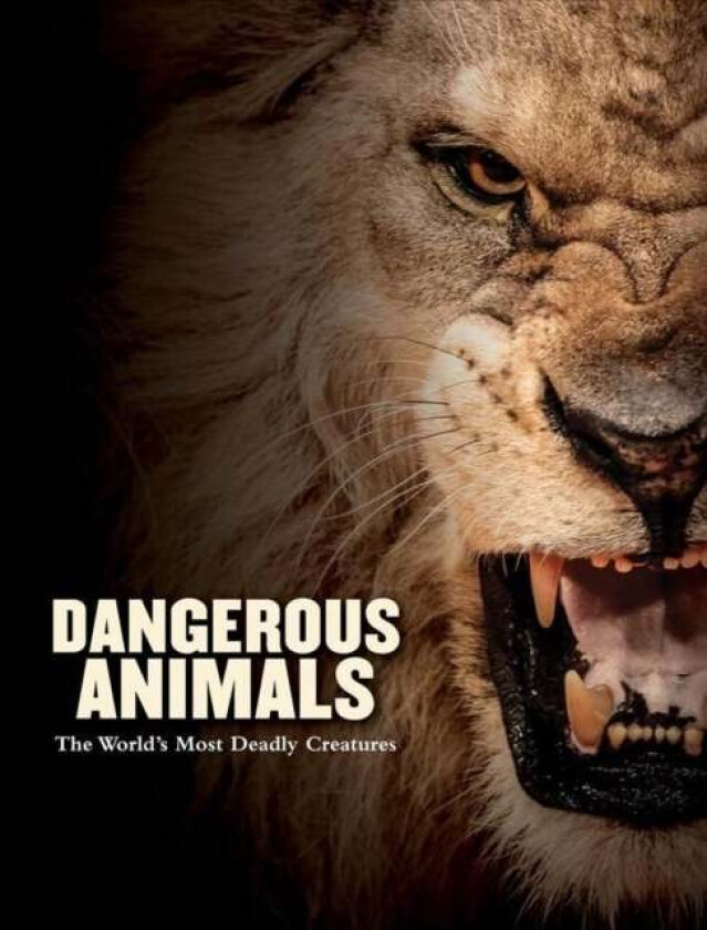 Dangerous Animals av Barry Madden