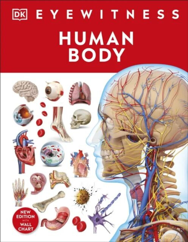 Human Body av DK