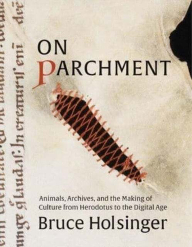 On Parchment av Bruce Holsinger