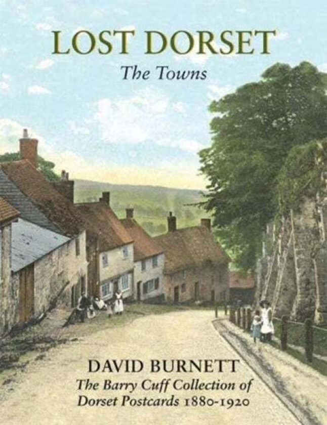 Lost Dorset av David Burnett