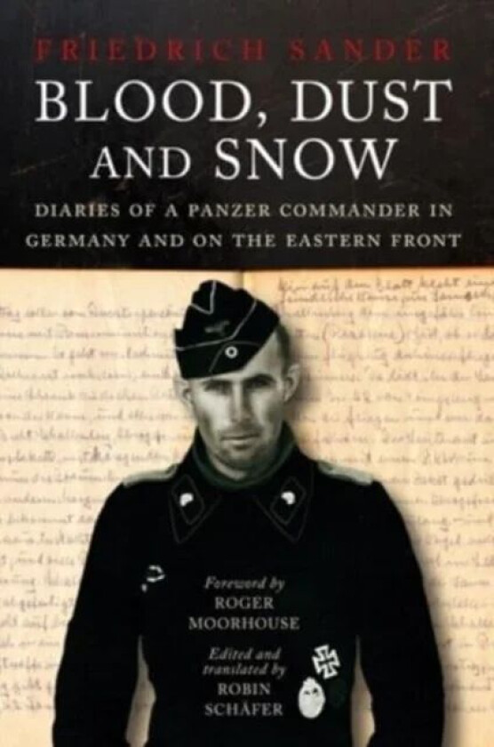 Blood, Dust & Snow av Robin Schafer