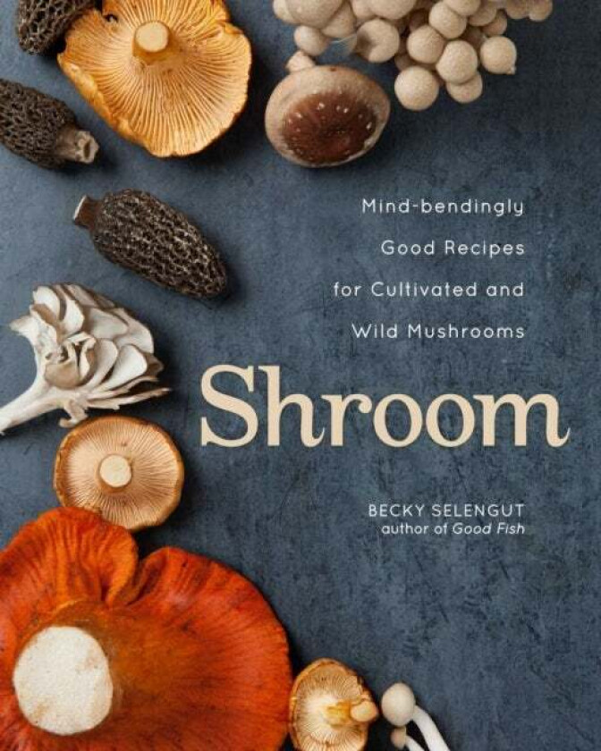 Shroom av Becky Selengut