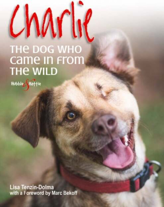 Charlie: the Dog Who Came in from the Wild av Lisa Tenzin-Dolma