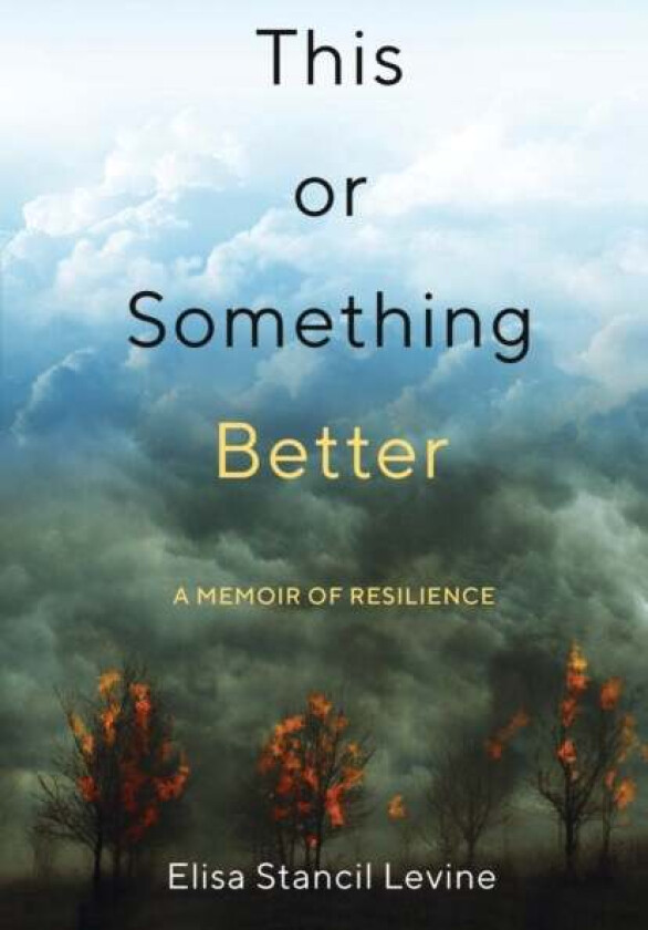 This or Something Better av Elisa Stancil Levine