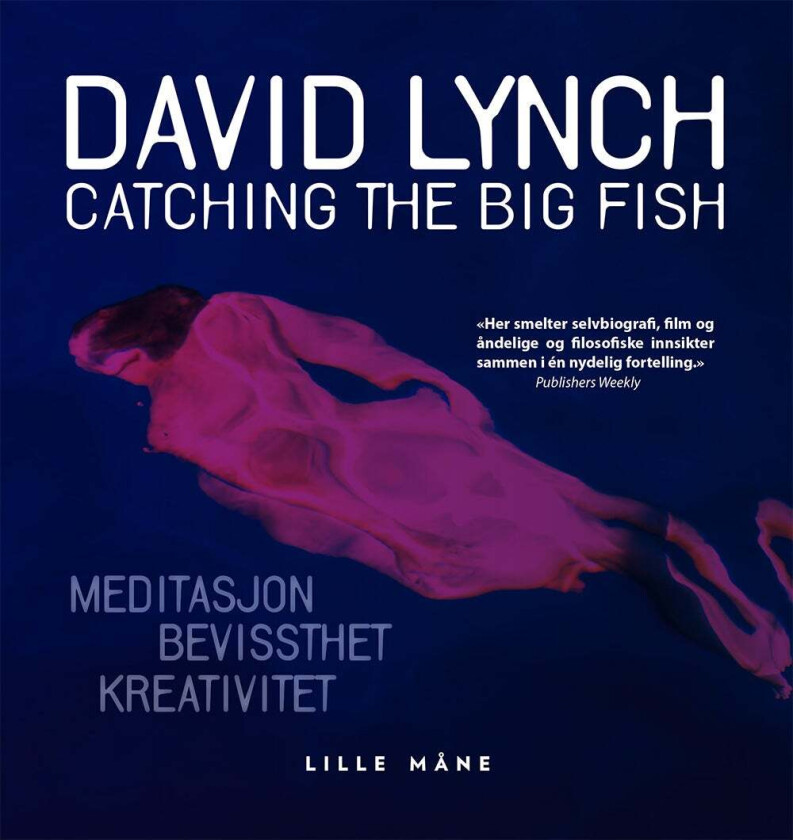 Catching the big fish av David Lynch