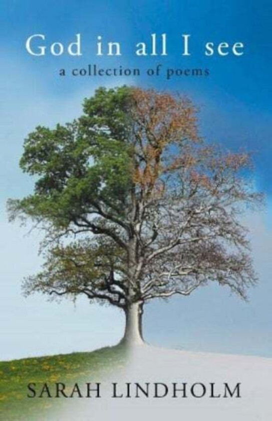 God in all I see av Sarah Lindholm