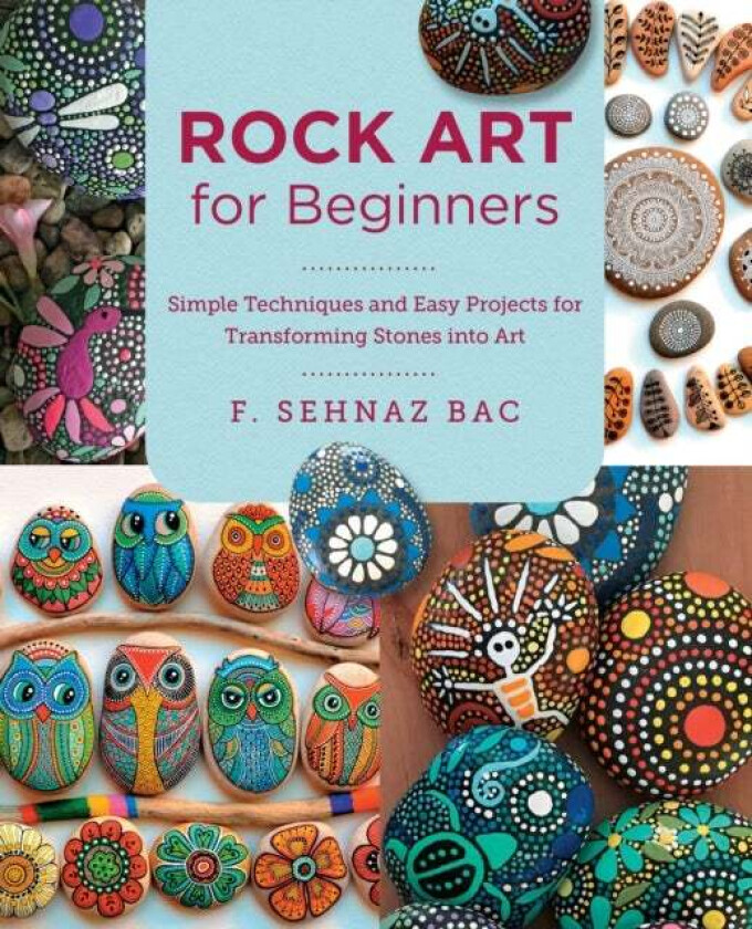 Rock Art for Beginners av F. Sehnaz Bac