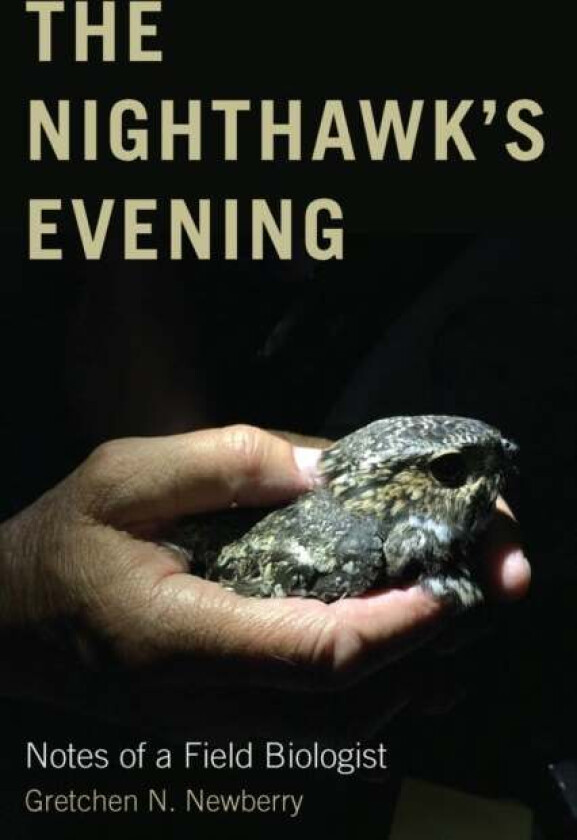 The Nighthawk's Evening av Gretchen N. Newberry