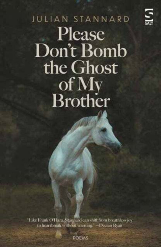 Please Don't Bomb the Ghost of My Brother av Julian Stannard