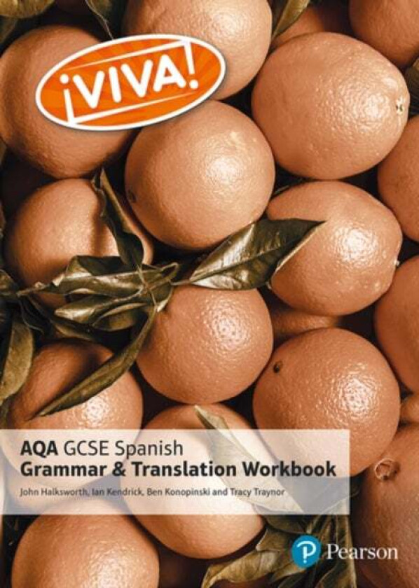 Viva! AQA GCSE Spanish Grammar and Translation Workbook av Tracy Traynor, Ian Kendrick, John Halksworth, Ben Konopinski