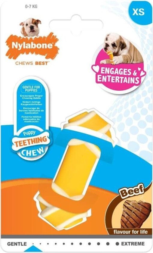 Nylabone Puppy KnotBone Beef XS