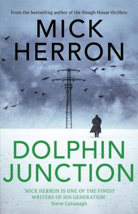 Dolphin Junction av Mick Herron