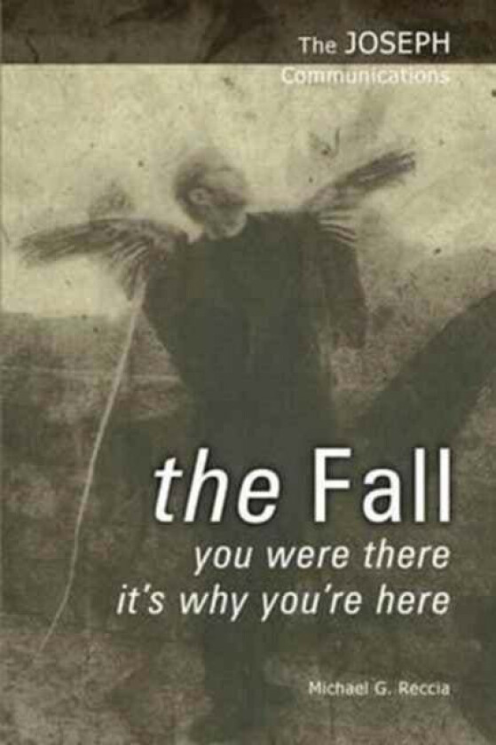 The Fall av Michael G. Reccia