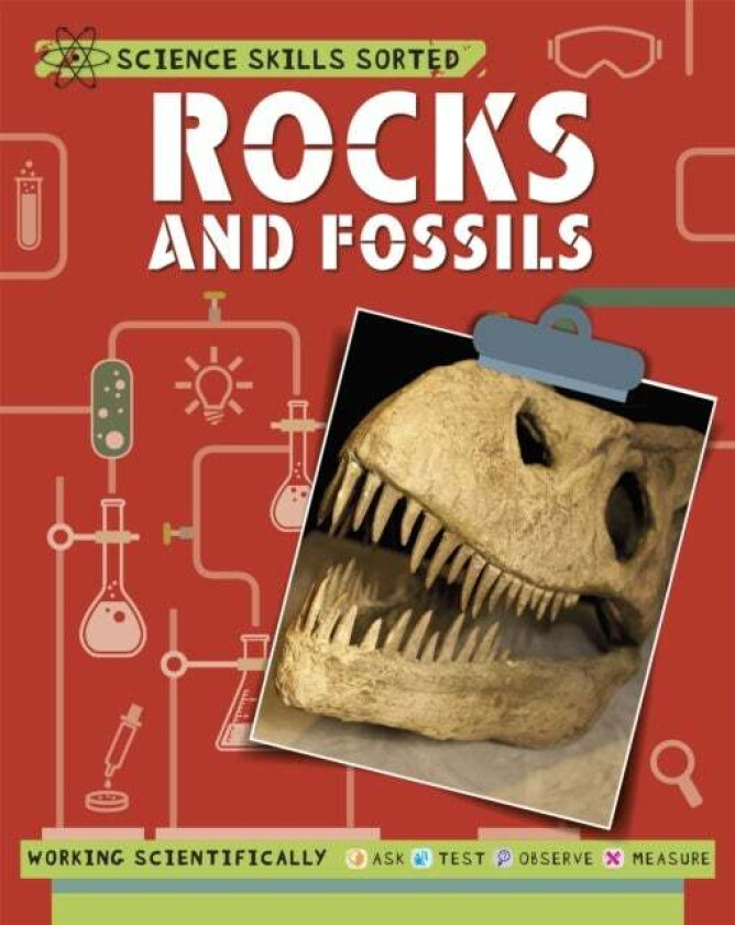 Science Skills Sorted!: Rocks and Fossils av Anna Claybourne