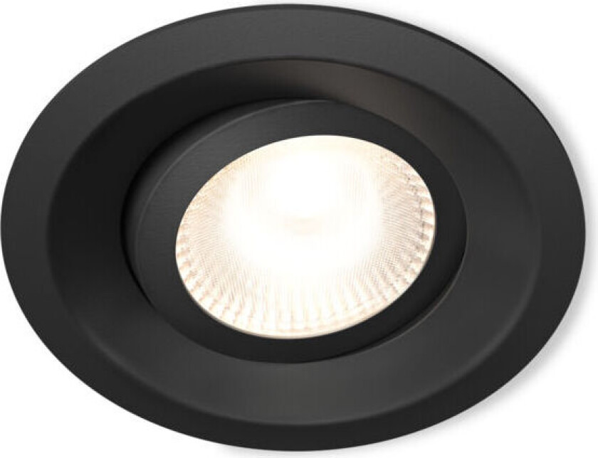 - DWN-01-B - Downlight Tilt Svart - 3203811