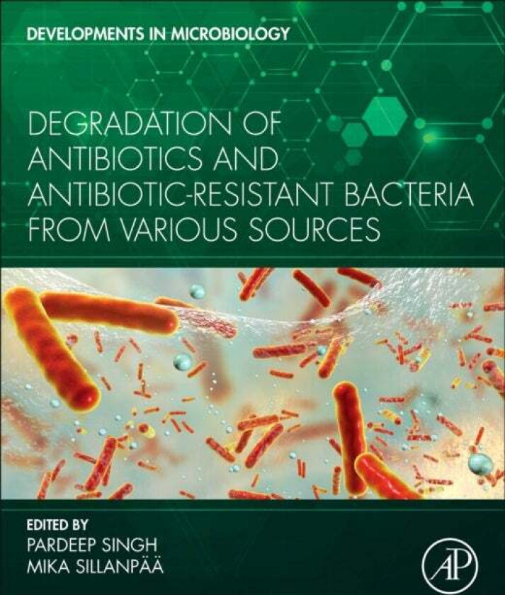 Degradation of Antibiotics and Antibiotic-Resistant Bacteria From Various Sources