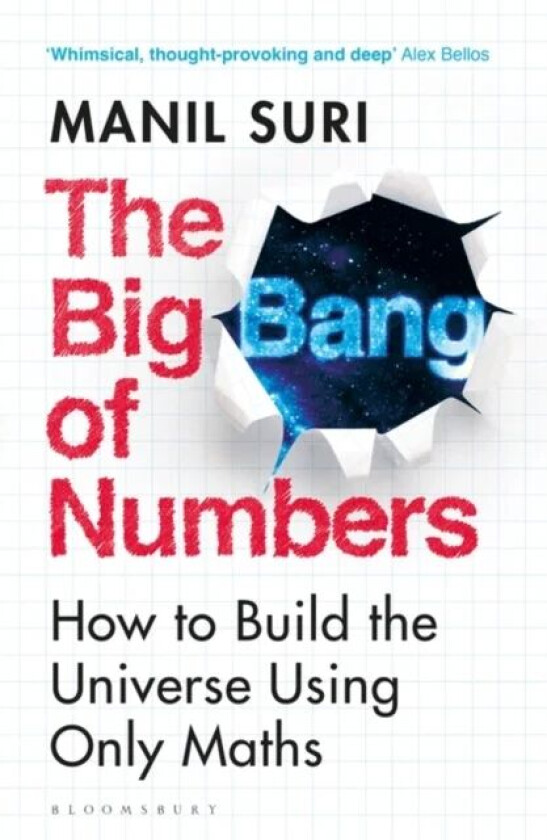 The Big Bang of Numbers av Manil Suri