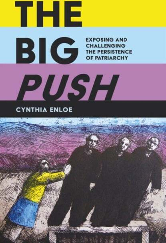 The Big Push av Cynthia Enloe