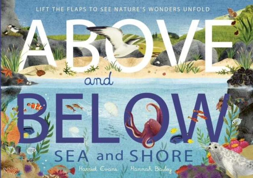 Above and Below: Sea and Shore av Harriet Evans, Hannah Bailey
