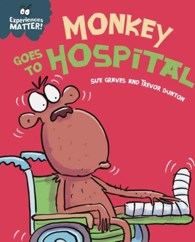 Experiences Matter: Monkey Goes to Hospital av Sue Graves