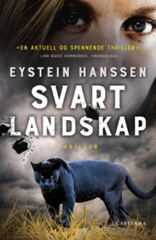 Svart landskap av Eystein Hanssen
