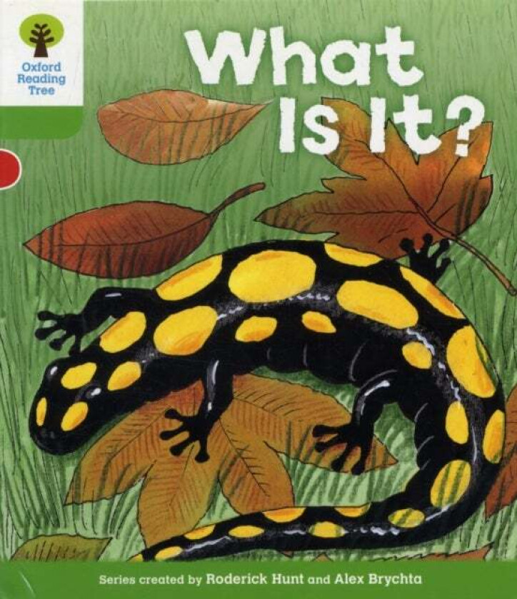 Oxford Reading Tree: Level 2: More Patterned Stories A: What Is It? av Roderick Hunt