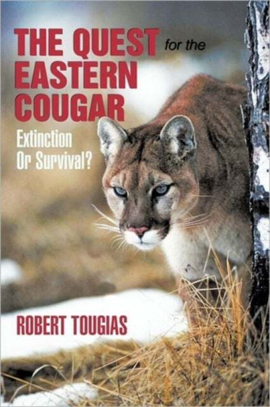 The Quest For The Eastern Cougar av Robert Tougias