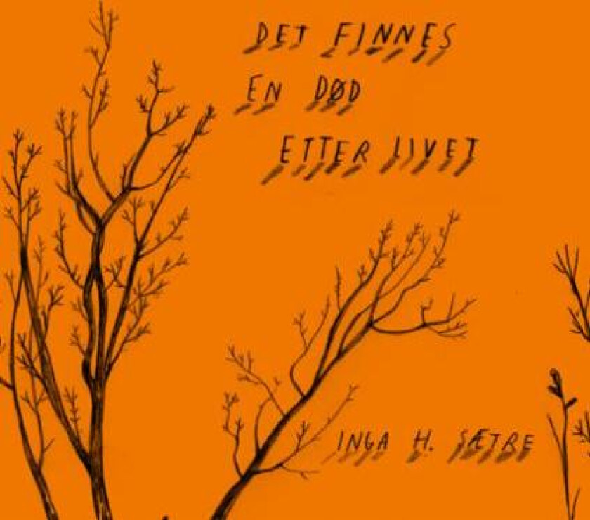 Det finnes en død etter livet av Inga H. Sætre