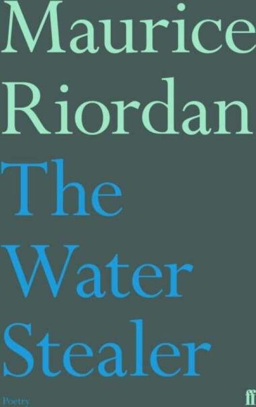 The Water Stealer av Maurice Riordan