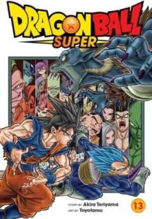 Dragon Ball Super, Vol. 13 av Akira Toriyama