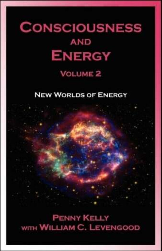Consciousness and Energy, Vol. 2 av Penny Kelly