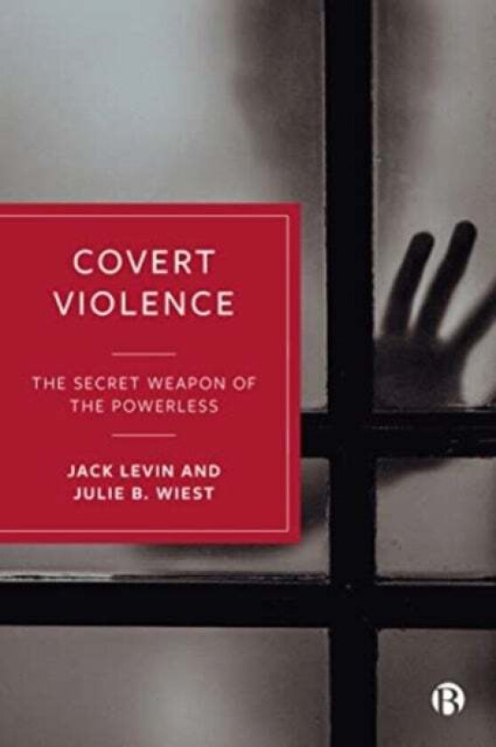 Covert Violence av Jack (Northeastern University) Levin, Julie (West Chester University of Pennsylvania) B. Wiest