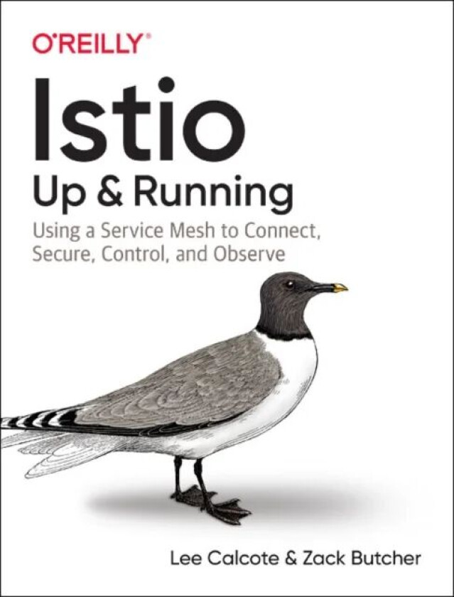 Istio: Up and Running av Lee Calcote, Zack Butcher