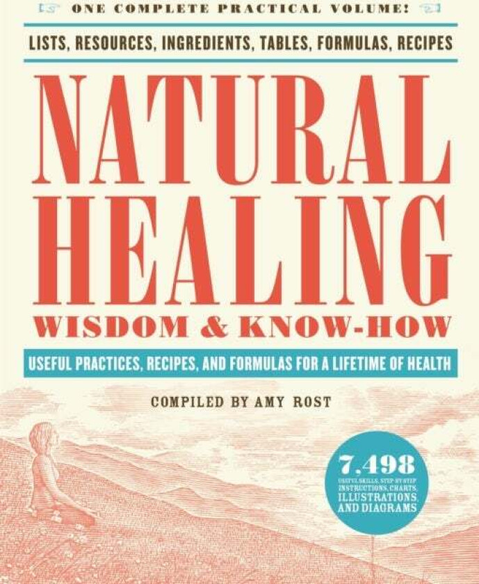 Natural Healing Wisdom & Know How av Amy Rost