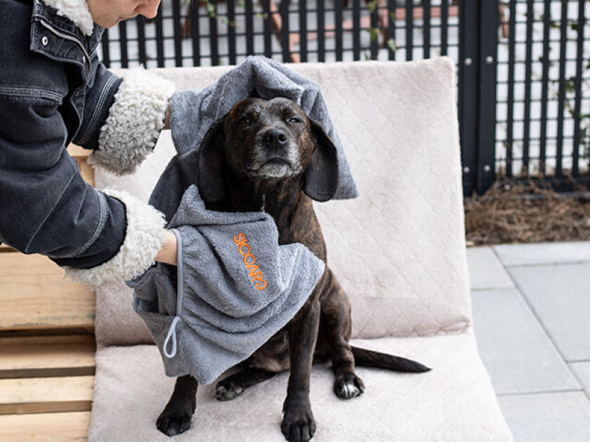 - EasyDry Dog Towel - Aske