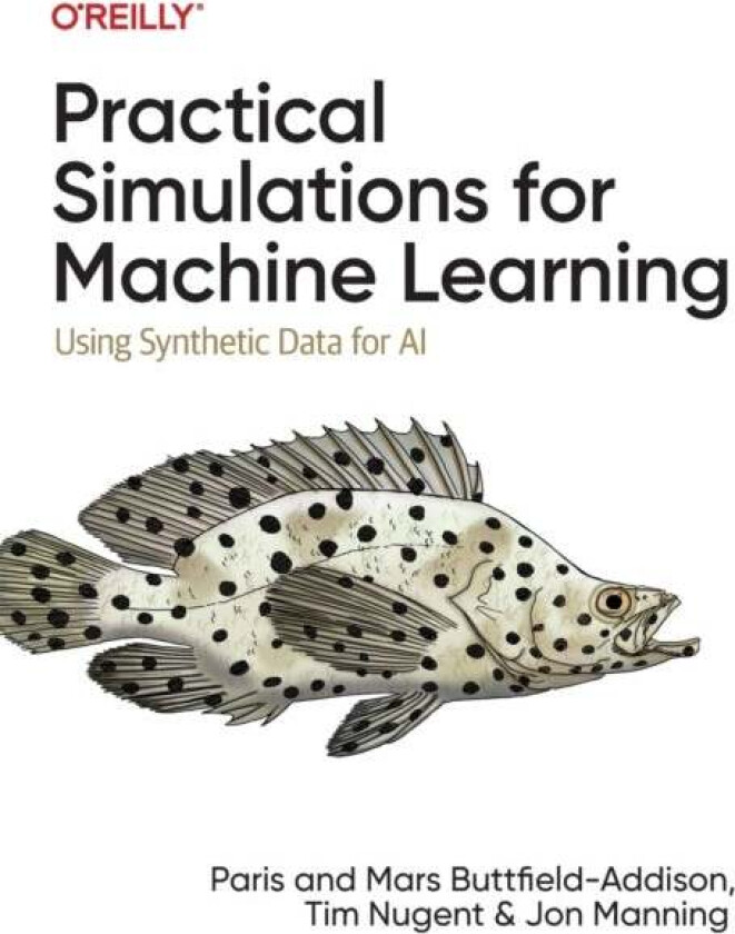 Practical Simulations for Machine Learning av Paris Buttfield-Addison, Mars Buttfield-Addison, Tim Nugent, Jon Manning