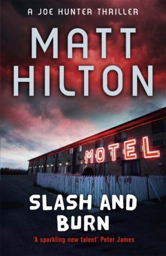 Slash and Burn av Matt Hilton