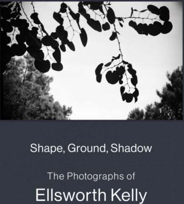 Shape, Ground, Shadow: The Photographs of Ellsworth Kelly