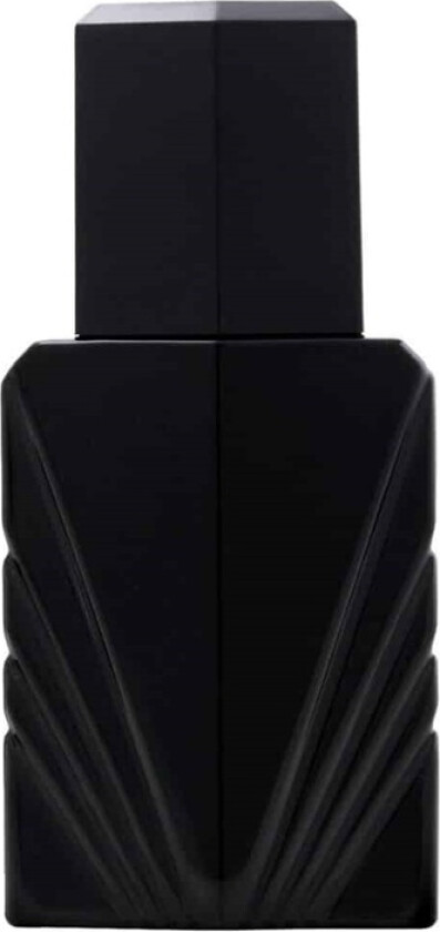 Elizabeth Passion For Men Edc 118ml
