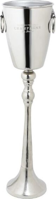 Elegant Høygravert Champagnekjøler På Fod
