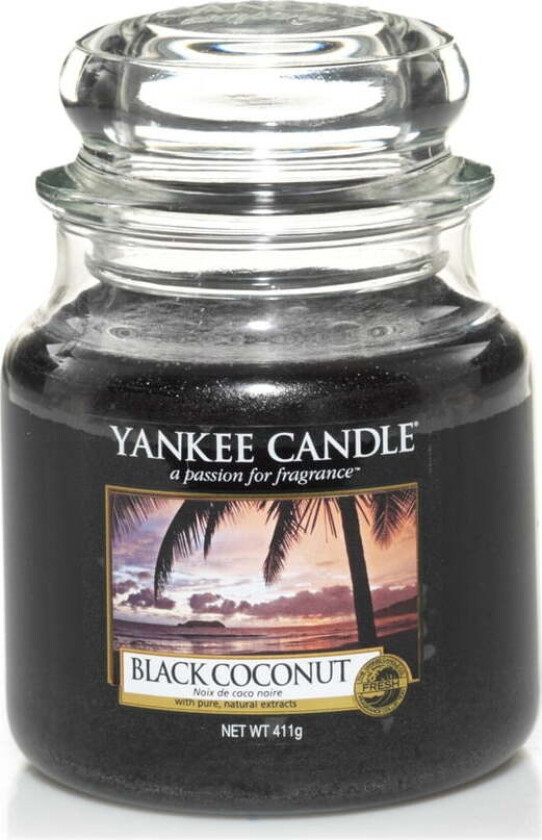 Classic Medium Black Coconut