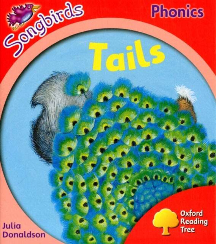 Oxford Reading Tree: Level 4: More Songbirds Phonics av Julia Donaldson