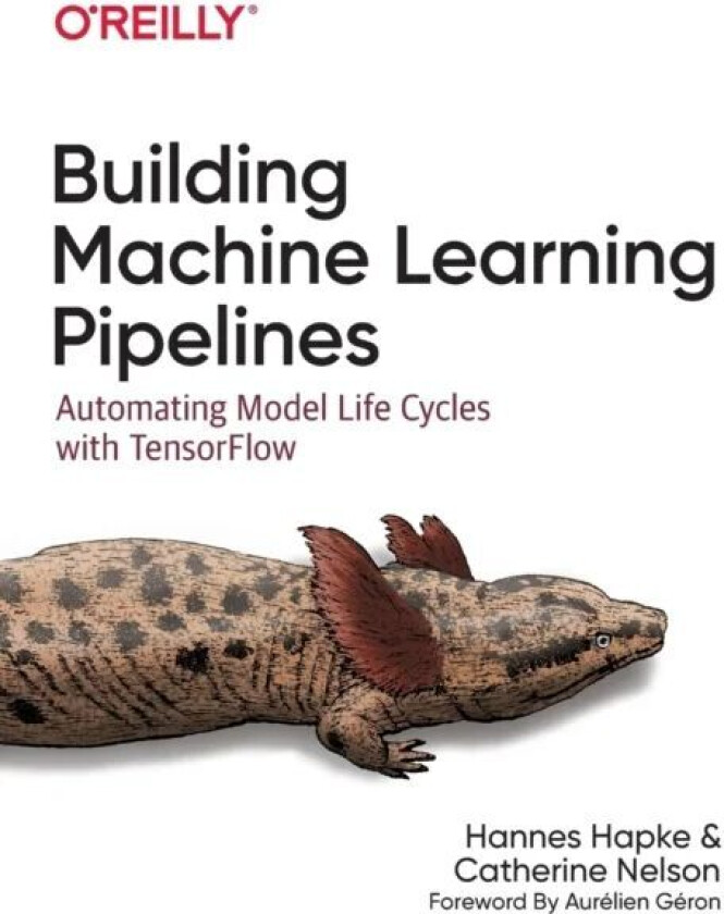 Building Machine Learning Pipelines av Hannes Hapke