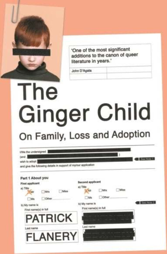 The Ginger Child av Patrick (Author) Flanery