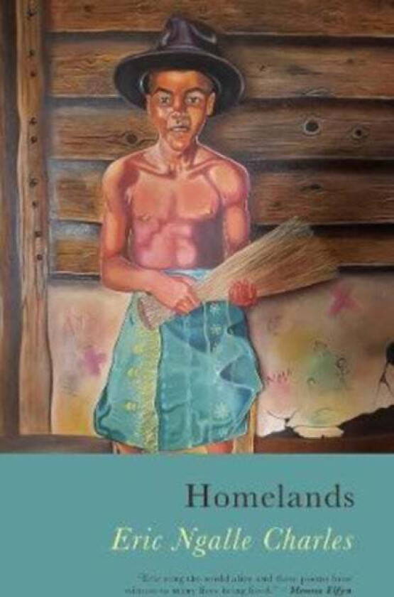 Homelands av Eric Ngalle Charles