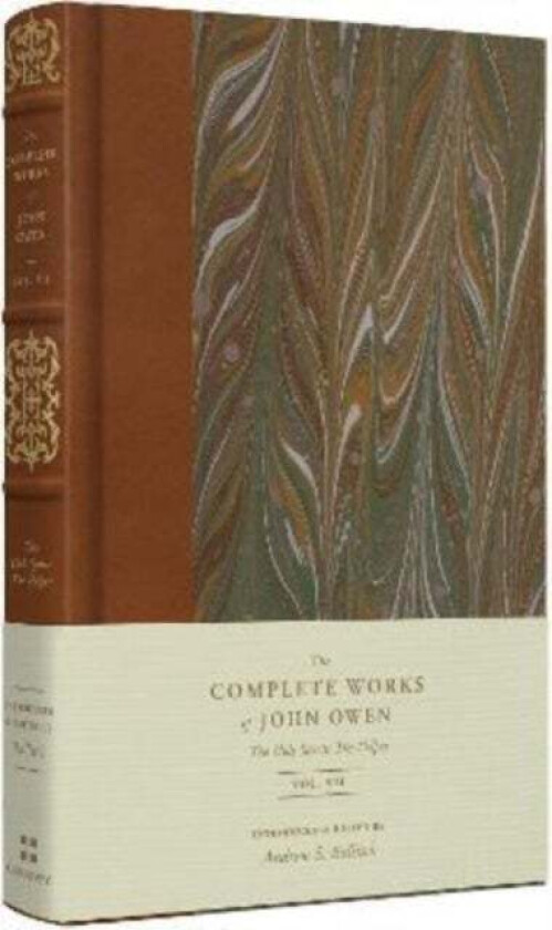 The Holy Spirit¿The Helper (Volume 7) av John Owen