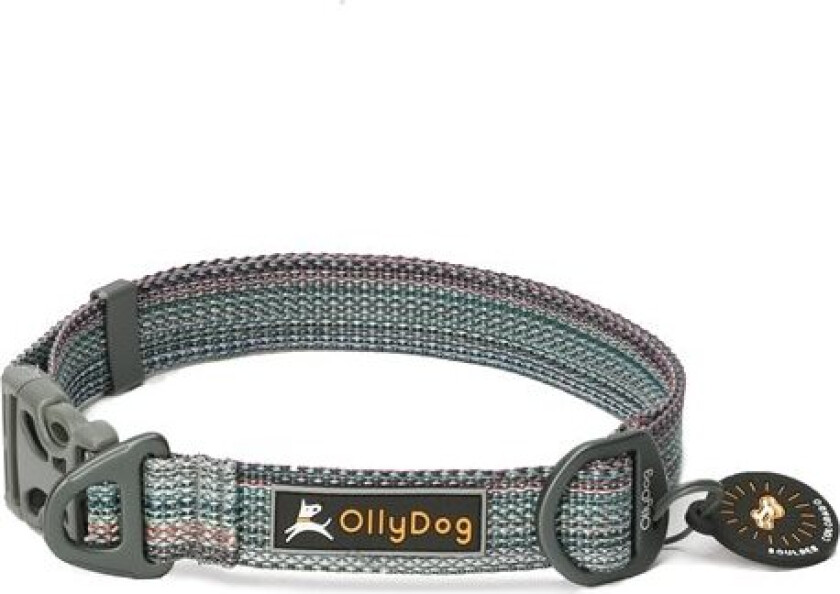 Rescue Collar L, Prism Grey