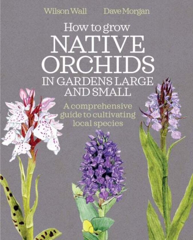 How to Grow Native Orchids in Gardens Large and Small av Wilson Wall, Dave Morgan