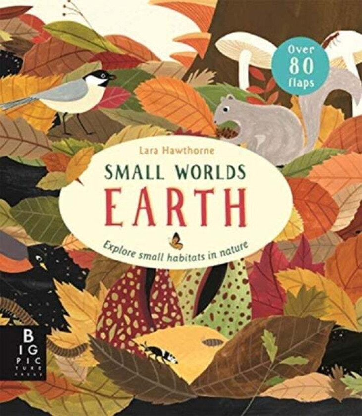 Small Worlds: Earth av Camilla De La Bedoyere