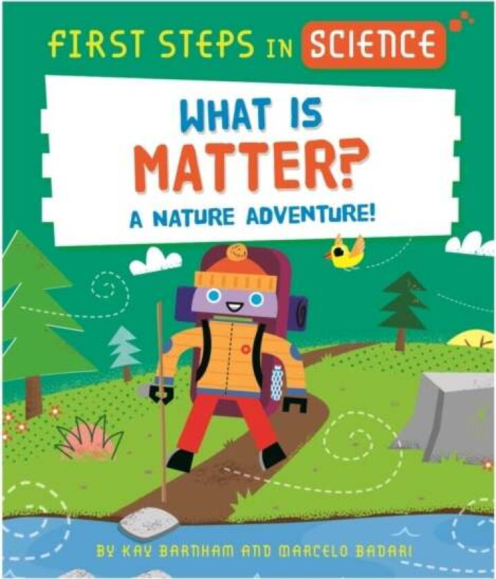 First Steps in Science: What is Matter? av Kay Barnham